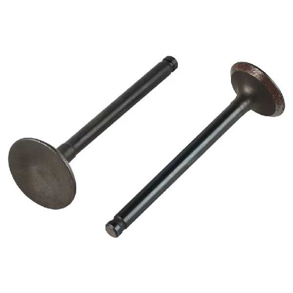 تصویر محصول سوپاپ هوا دی اس 5 سال 2017